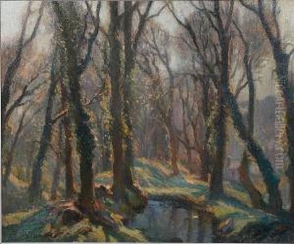 Woodland Scene, Probably Lamorna by Stanley Horace Gardiner