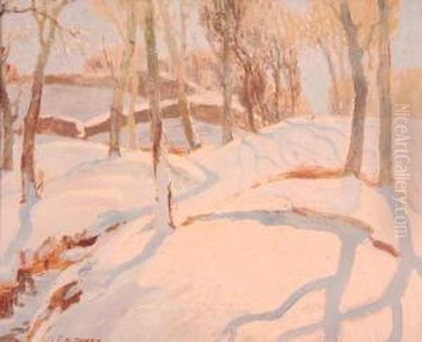 Snow And Sunshine by Stanley Horace Gardiner