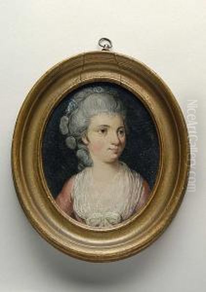 A Portrait Of A Lady Wearing A Pink Dress With White Lace Trim Oil Painting by Daniel Gardner