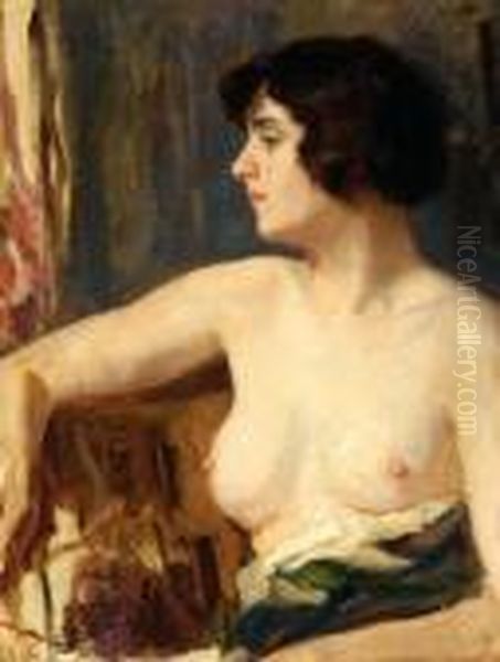 Female Half-nude Oil Painting by Salomon Garf