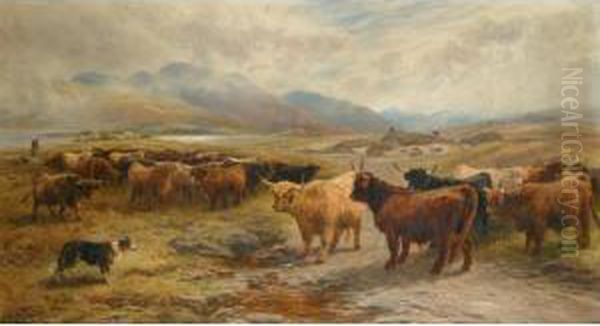 Collecting Cattle In The Highlands Oil Painting by Henry Garland