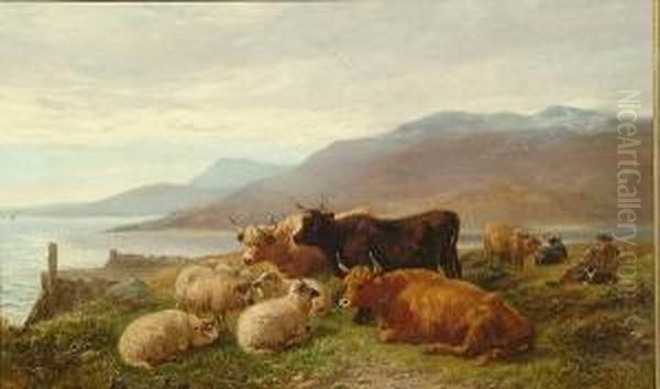 Highland Cattle And Sheep On A Coastal Hillside Oil Painting by Henry Garland