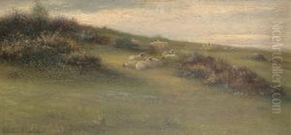 Sheep Resting On A Hillside; Hunting Scene Oil Painting by Valentine Thomas Garland