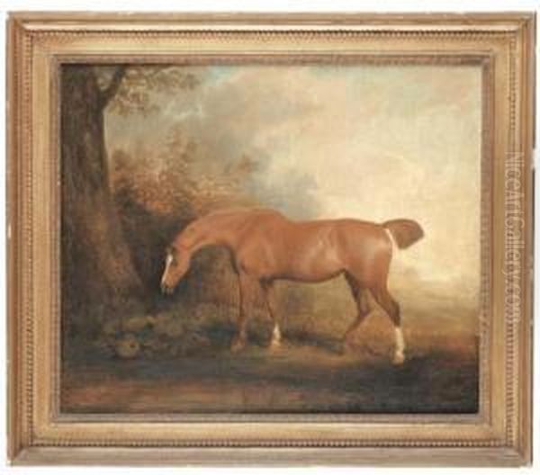 A Chesnut In A Landscape Oil Painting by George Garrard