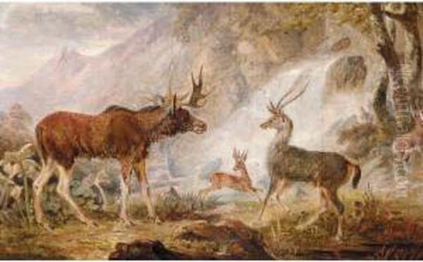 The Earl Of Orford's Elk From Norway, Antelope From Africa And Stag From Prince's Island Oil Painting by George Garrard