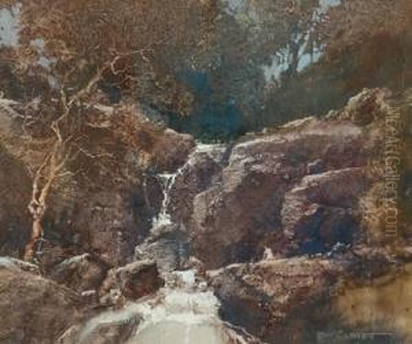 Oxford Falls Oil Painting by Tom Garrett