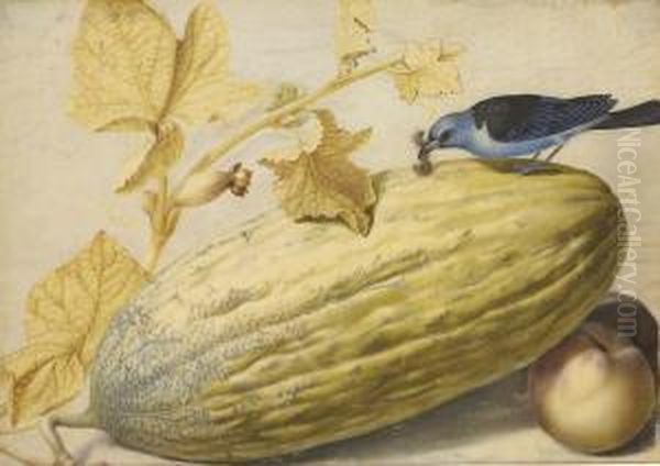 Still Life With A Bird Eating A Caterpillar, A Gourd, And Twopeaches Oil Painting by Giovanna Garzoni