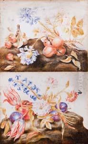 A) Albicocche, Pere E Fiori Su Una Superfice Terrosa Oil Painting by Giovanna Garzoni