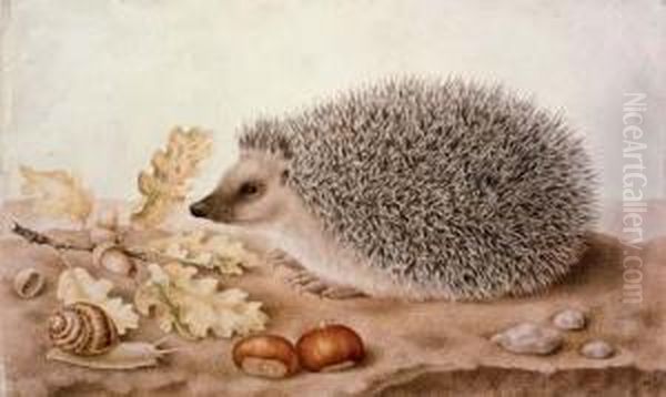 A Hedgehog In A Landscape Oil Painting by Giovanna Garzoni