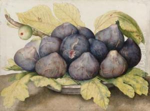 A Plate Of Figs Oil Painting by Giovanna Garzoni