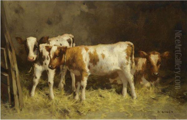 Cows Oil Painting by David Gauld