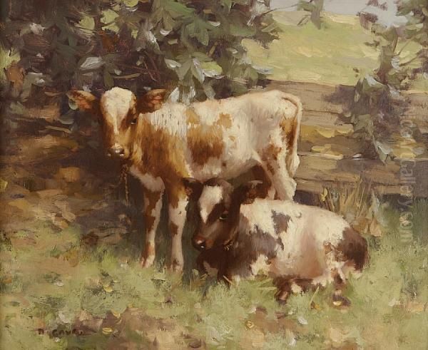 Two Calves Oil Painting by David Gauld