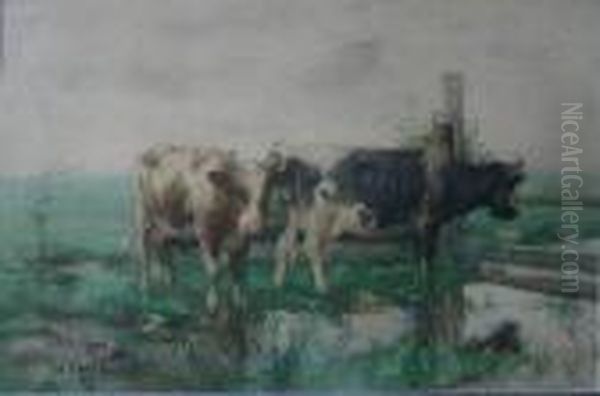 Cattle In A River Landscape Oil Painting by David Gauld