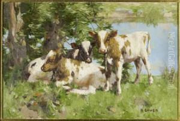 Calves By A Lake Oil Painting by David Gauld