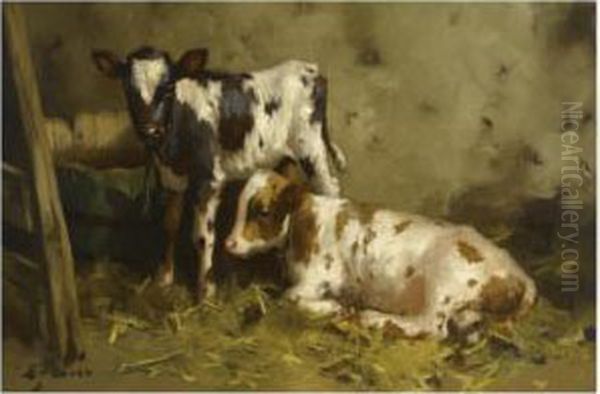 Ayrshire Calves Oil Painting by David Gauld