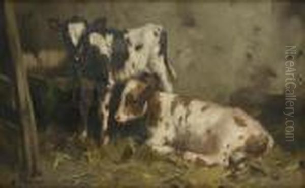 Two Calves In A Byre Oil Painting by David Gauld