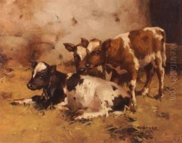 Threecalves In A Barn Oil Painting by David Gauld