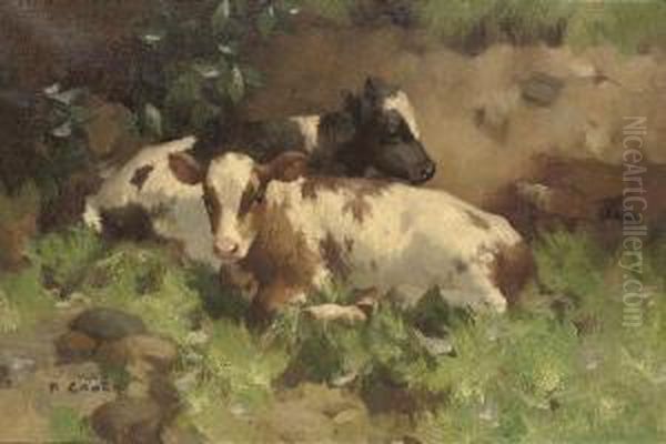 Ayrshire Calves Oil Painting by David Gauld