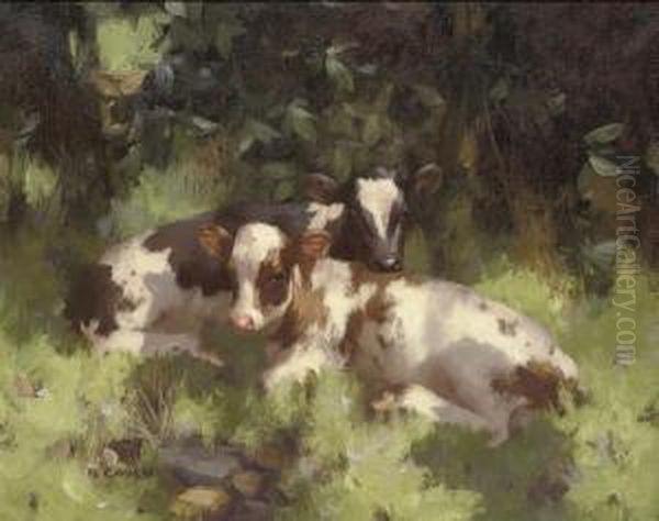 Calves Resting Oil Painting by David Gauld