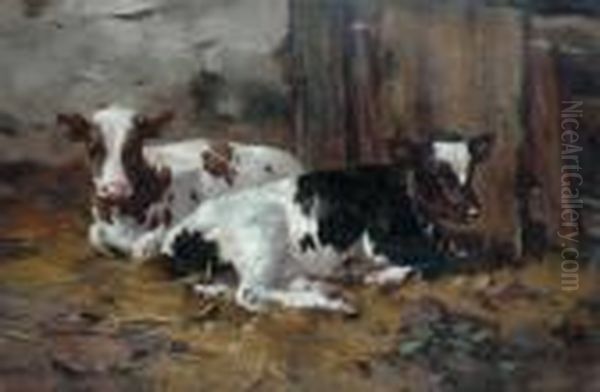 Calves In A Stable Oil Painting by David Gauld