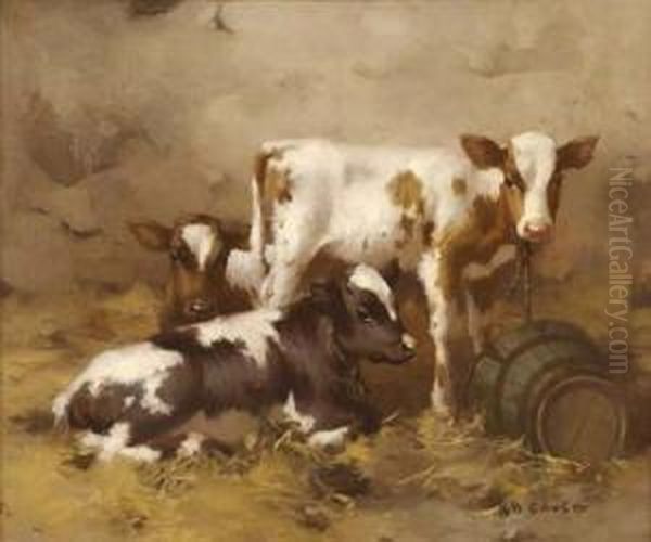 Calves In A Byre Oil Painting by David Gauld