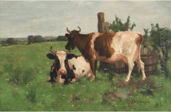 Cows In A Meadow Oil Painting by David Gauld