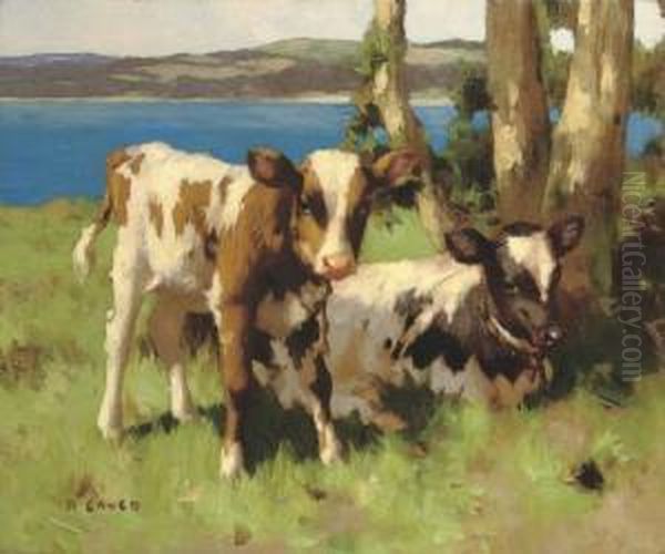 Calves In A Meadow Oil Painting by David Gauld