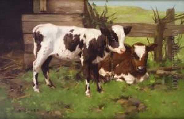 Calves Outside A Farm In A Landscape Oil Painting by David Gauld