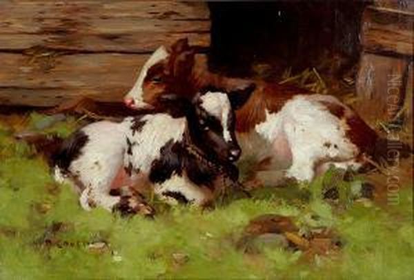 Calves Oil Painting by David Gauld