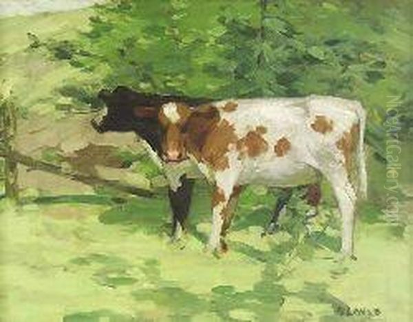 Cattle In The Shade Oil Painting by David Gauld