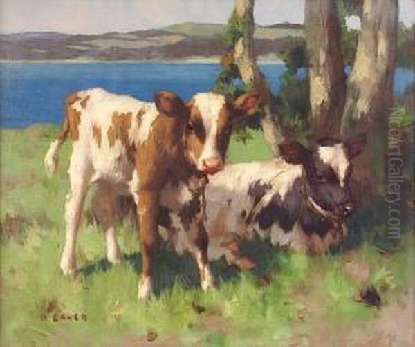 Two Calves On The Coast Oil Painting by David Gauld