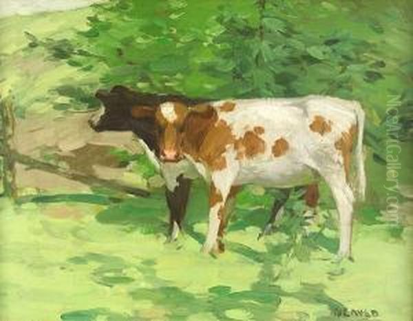 Two Calves Oil Painting by David Gauld