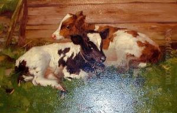 Two Calves Lying By A Fence Oil Painting by David Gauld