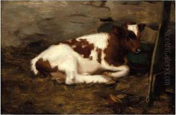 Resting Calf Oil Painting by David Gauld