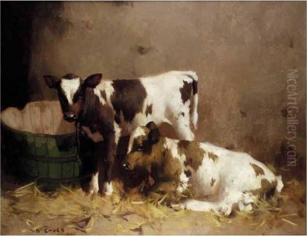 Two Calves In A Stable Oil Painting by David Gauld