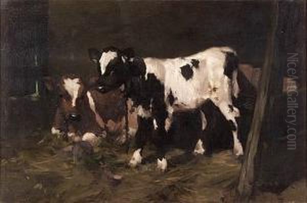 Calves In A Byre Oil Painting by David Gauld