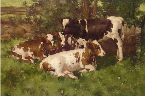 Calves Resting Oil Painting by David Gauld