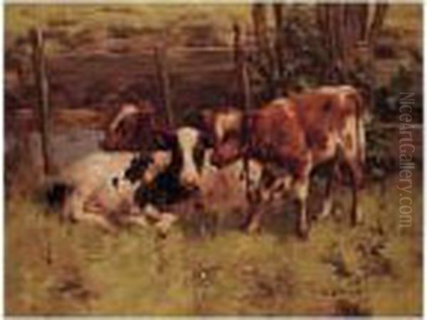 Cattle In A Meadow Oil Painting by David Gauld