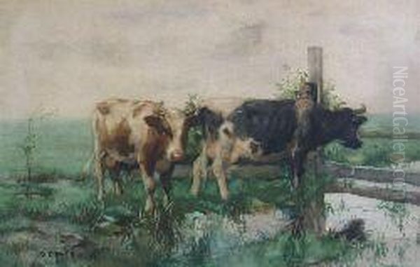 Cattle Grazing In A River Landscape Oil Painting by David Gauld