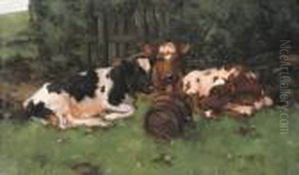 Ayrshire Calves Oil Painting by David Gauld