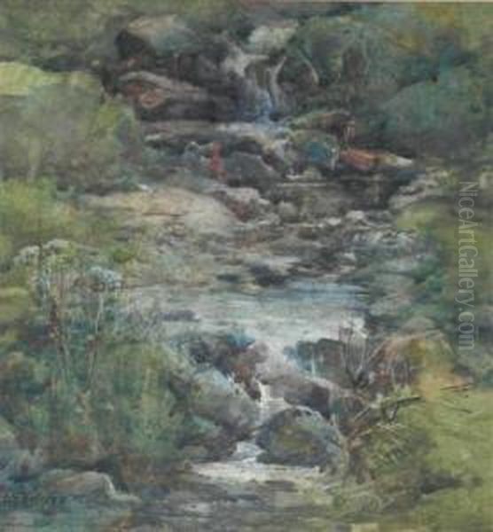 A Quiet Stream Oil Painting by Ewan Geddes