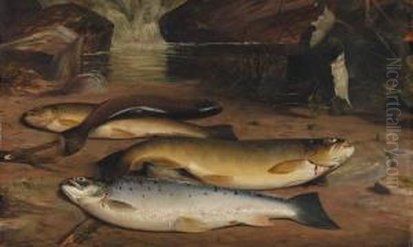 Brown Trout And A Sea Trout On A River Bank Oil Painting by William Geddes