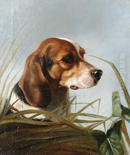 A Beagle Oil Painting by George Earl