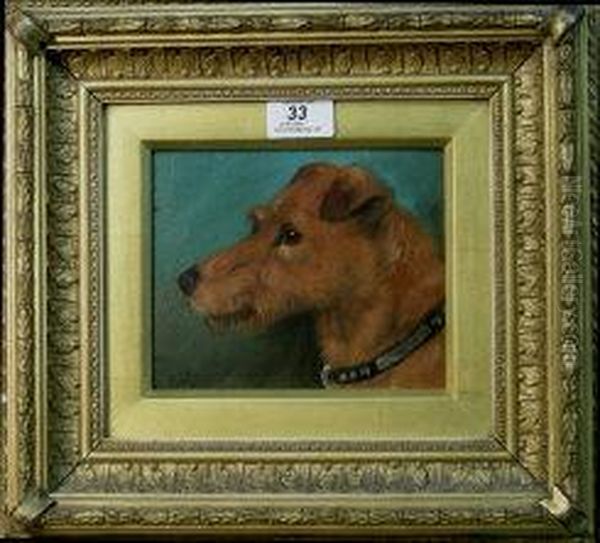 Portrait Of A Rough Haired Terrier's Head Oil Painting by George Earl