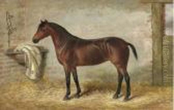 A Bay Hunter In A Stable Oil Painting by George Earl