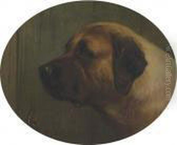 Head Of A Bull Mastiff Oil Painting by George Earl