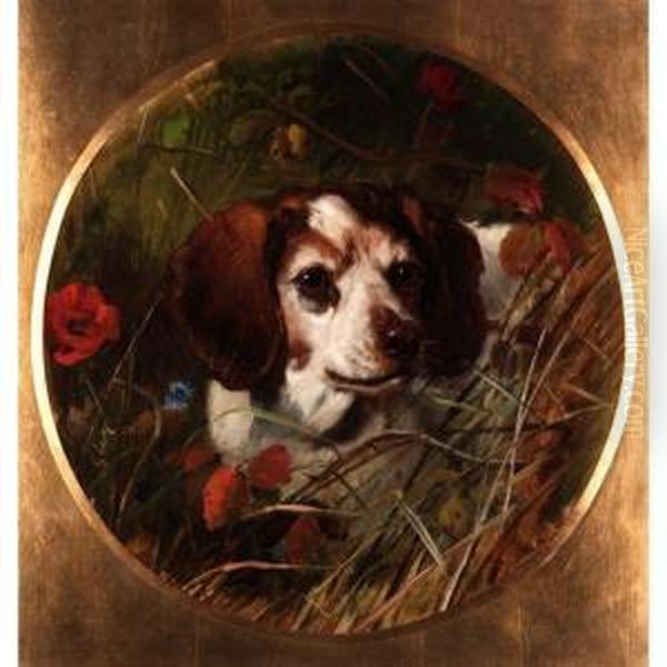 Study Of A Spaniel Oil Painting by George Earl