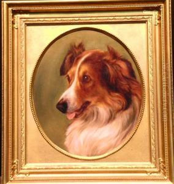 Portrait Of A Collie Oil Painting by George Earl