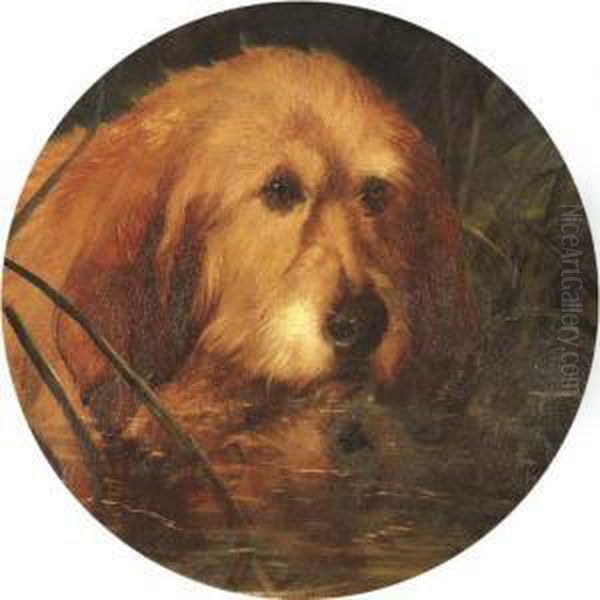 An Otterhound In Reeds Oil Painting by George Earl