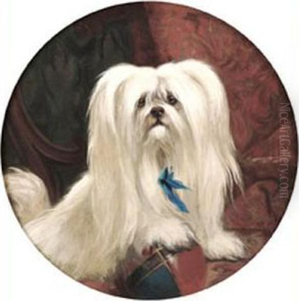 A Maltese Terrier Playing With A Ball Oil Painting by George Earl